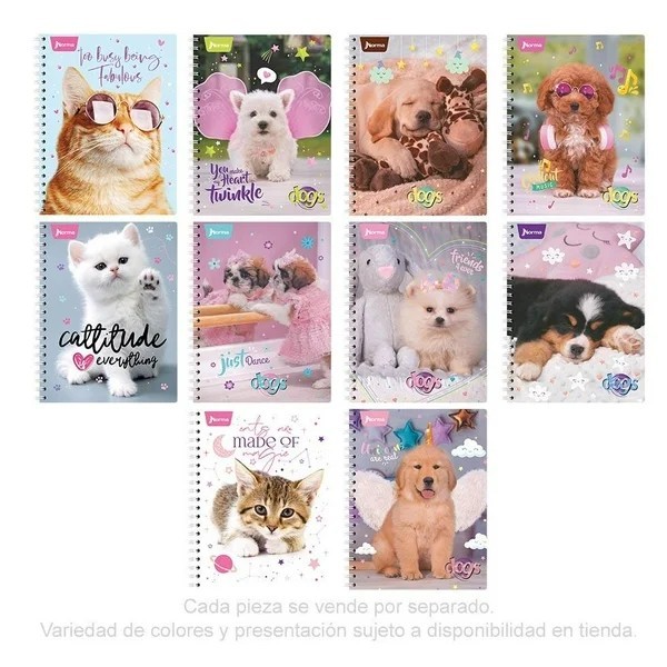 CUADERNO PROF. DOGS NORMA 520739 RAYA ESP. 100H. PZA